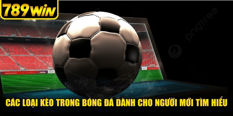 Thị trường thể thao có các loại kèo trong bóng đá khác nhau,