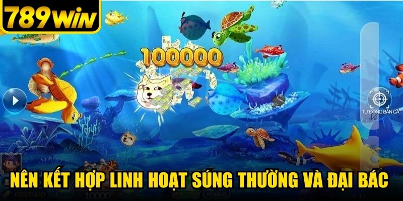 Nên kết hợp linh hoạt súng thường và đại bác để giảm thiểu tối đa