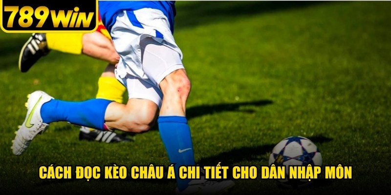 Cách đọc kèo châu Á chi tiết cho dân nhập môn