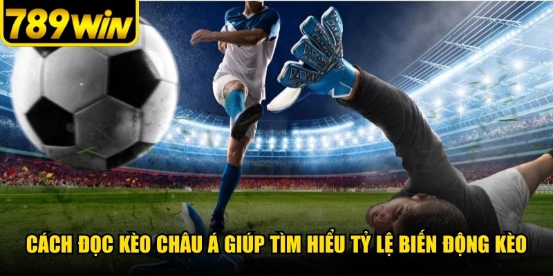 Cách đọc kèo châu Á giúp người tìm hiểu nắm rõ tỷ lệ biến động kèo