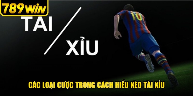Các loại cược trong cách hiểu kèo tài xỉu