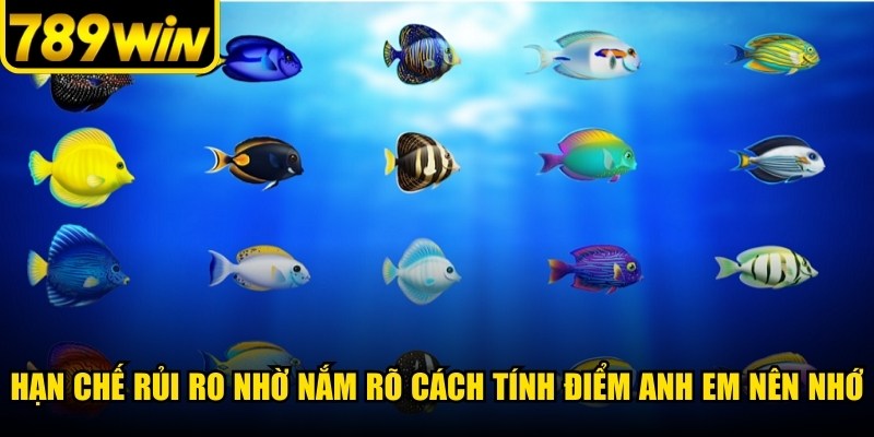 Hạn chế rủi ro nhờ nắm rõ cách tính điểm anh em nên nhớ