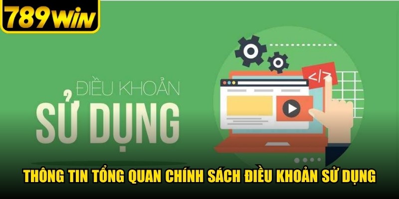 Thông tin tổng quan chính sách điều khoản sử dụng
