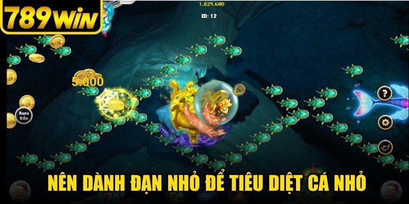 Thay vì tập trung vào boss lớn nên dành đạn nhỏ để tiêu diệt cá nhỏ