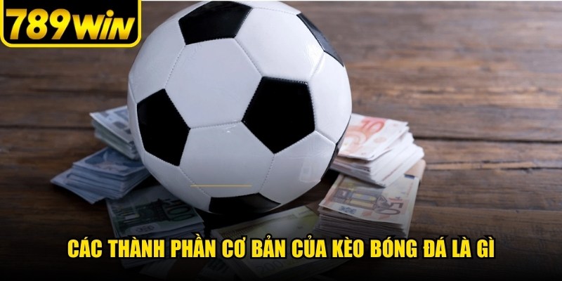 Các thành phần cơ bản của kèo bóng đá là gì