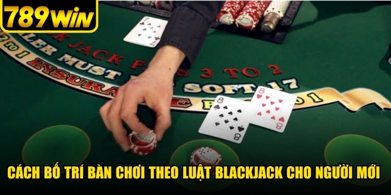 Cách bố trí bàn chơi theo luật Blackjack cho người mới khá đơn giản, dễ hiểu