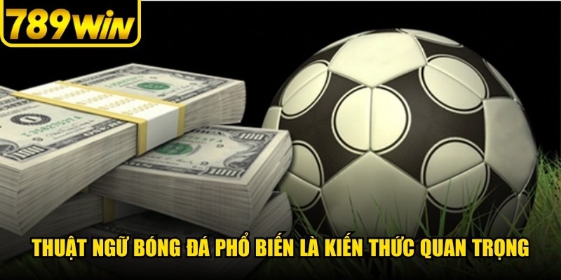 Thuật ngữ bóng đá phổ biến là kiến thức quan trọng